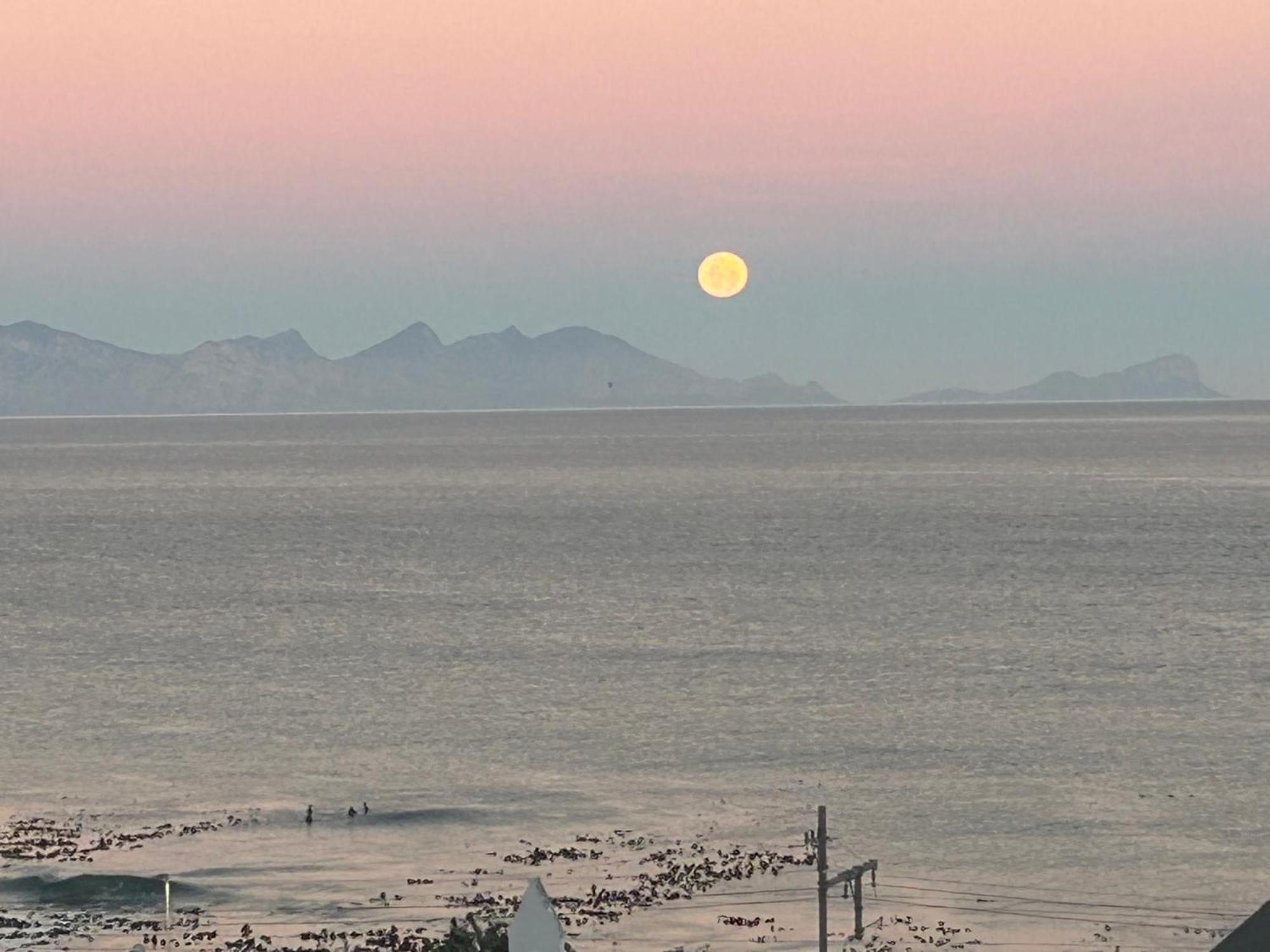 Whalehaven Leilighet Kalk Bay Eksteriør bilde